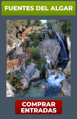 CAJA FUENTES DEL ALGAR